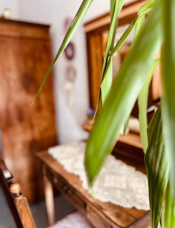Ferienwohnung Geister Naumburg  Esterno foto